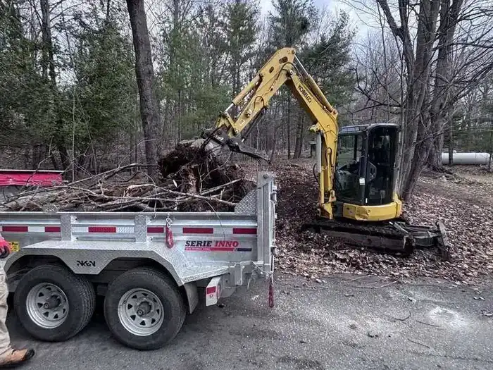 Property Maintenance